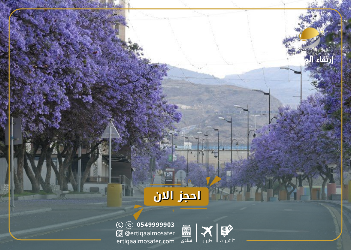 اماكن سياحية في ابها