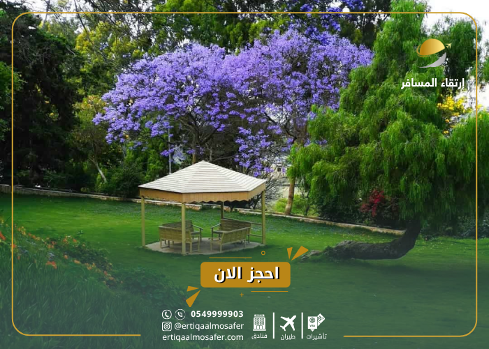 اماكن سياحية في ابها